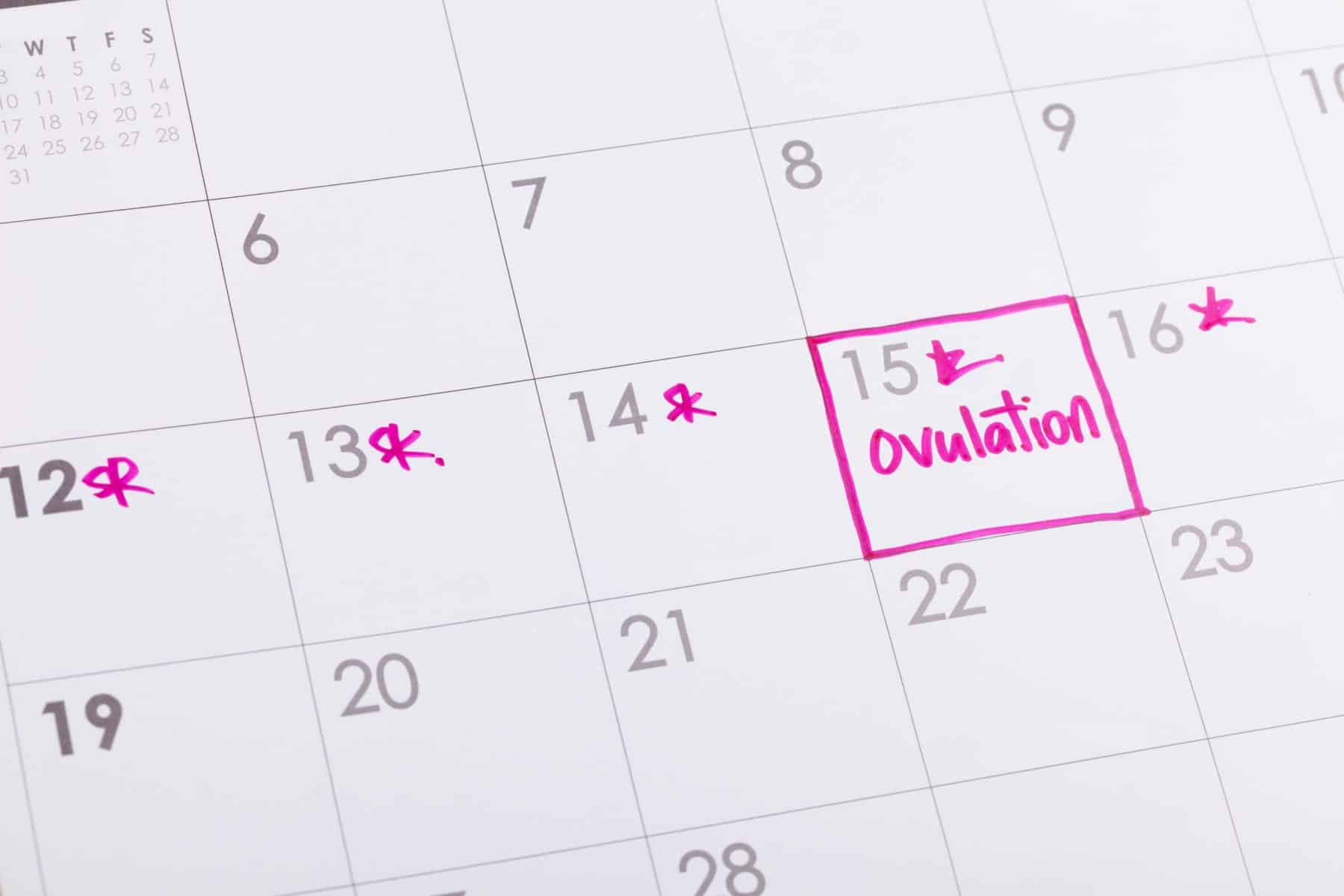 Calendar Ovulation Tracking