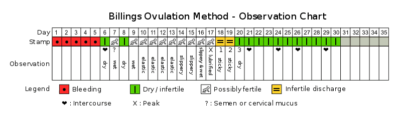 Cervical Mucus Ovulation Chart