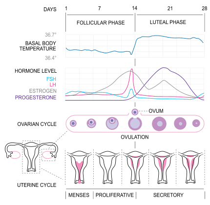 6 Top Fertility Facts You May Not Know