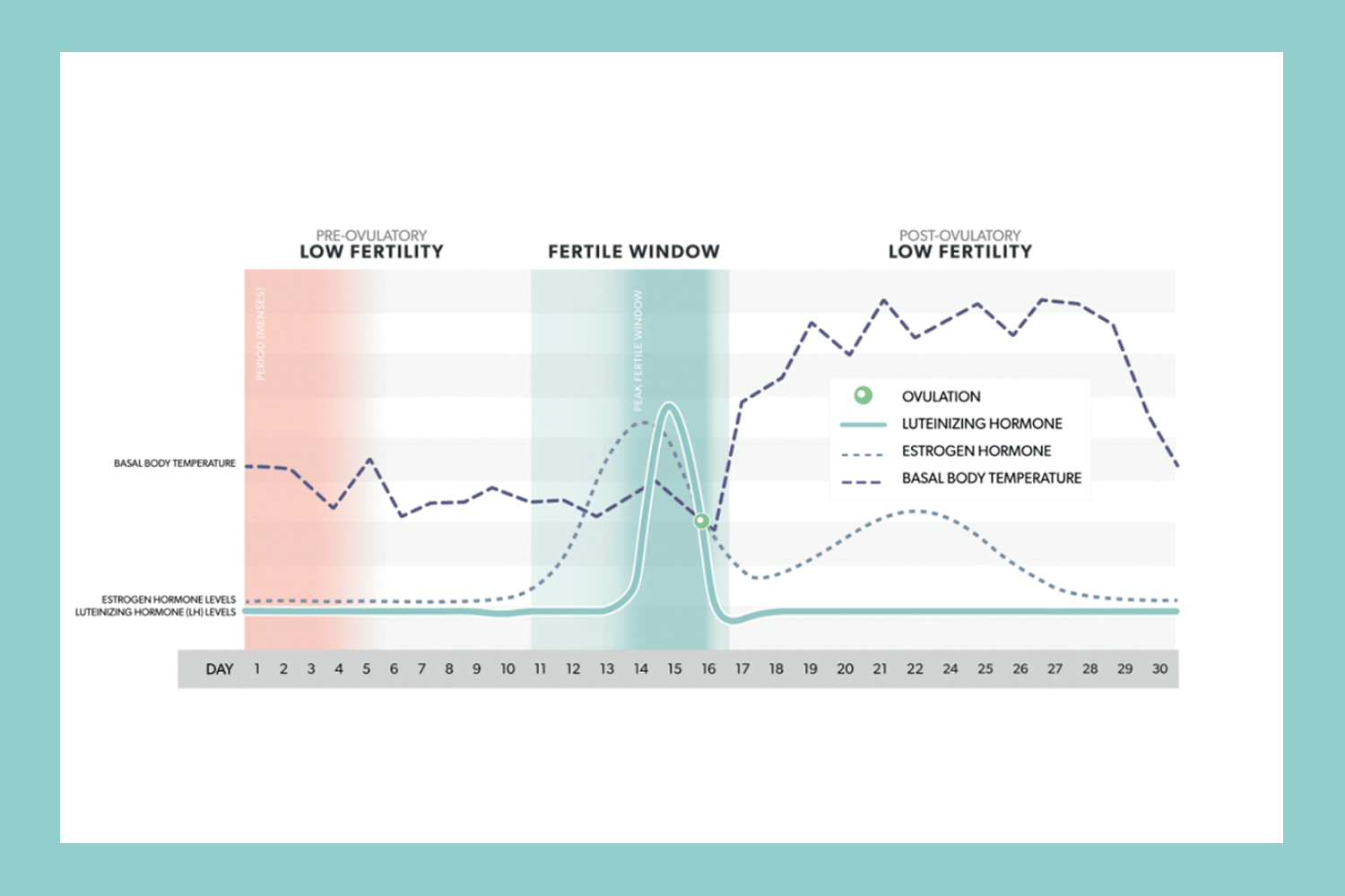 No LH Surge? What happens if you don't have an LH surge? Fertility2Family