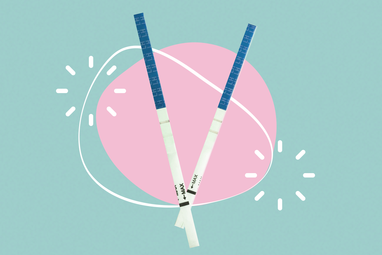 Ovulation Test Strips: Can They Help You Get Pregnant?