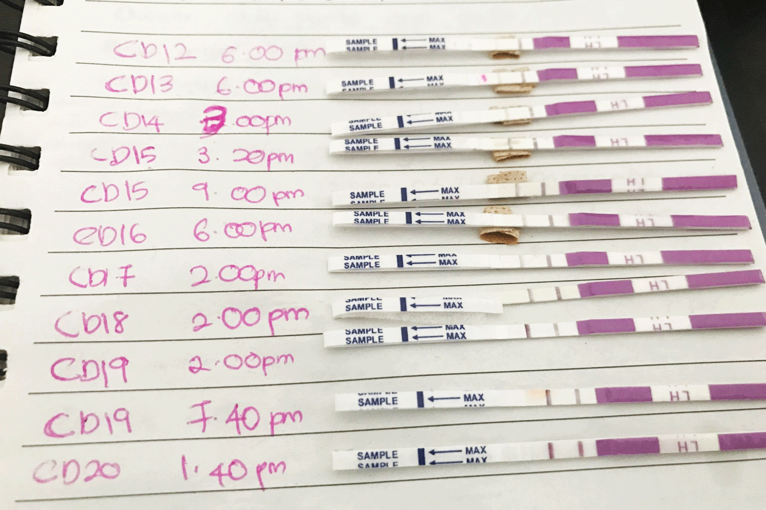 Ovulation Chart Example