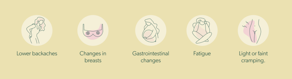 3 DPO Symptoms - What to Expect and When to Test (Updated)