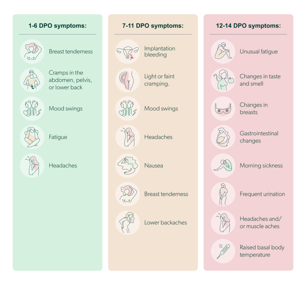 pregnancy symptoms chart