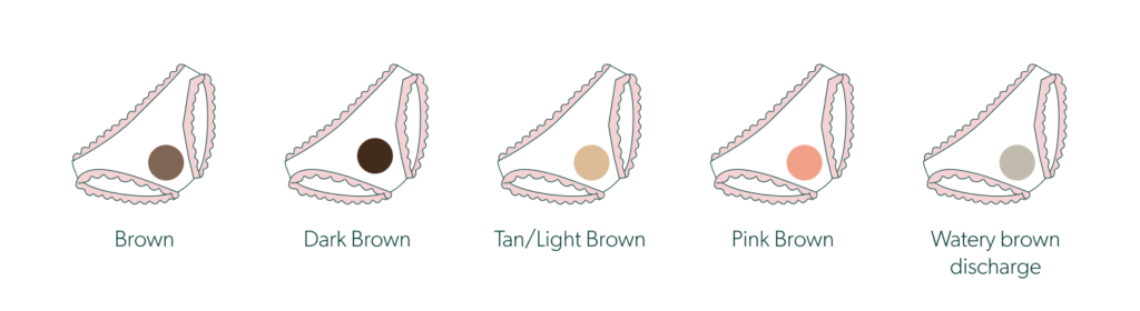 Brown discharge before or after your period, what does it mean? • Cycle