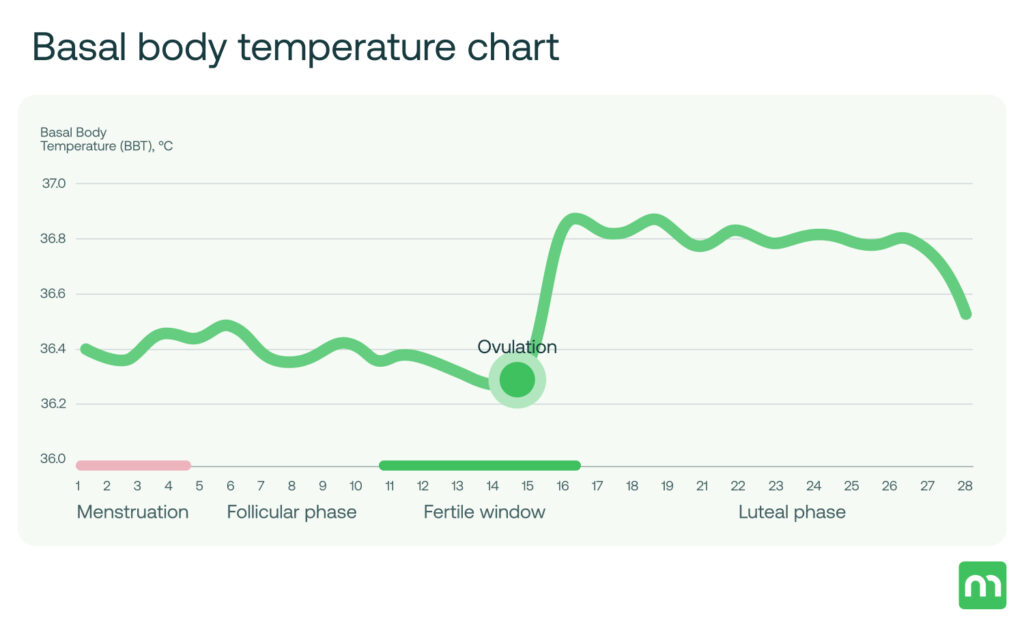 Basal Body Temperature Chart Basal Body Thermometer Basal Body Temperature Chart Basal Body Thermometer