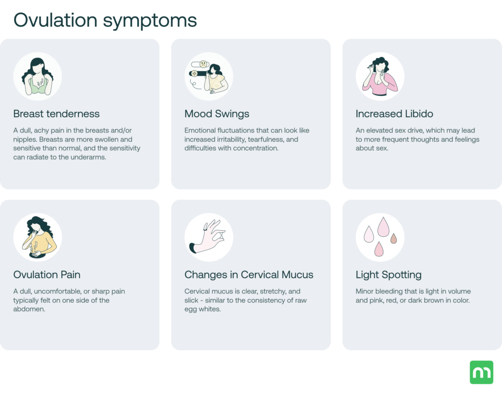 ovulation symptoms: pain, breast tenderness, mood swings, increased libido, light spotting, changes in mucus